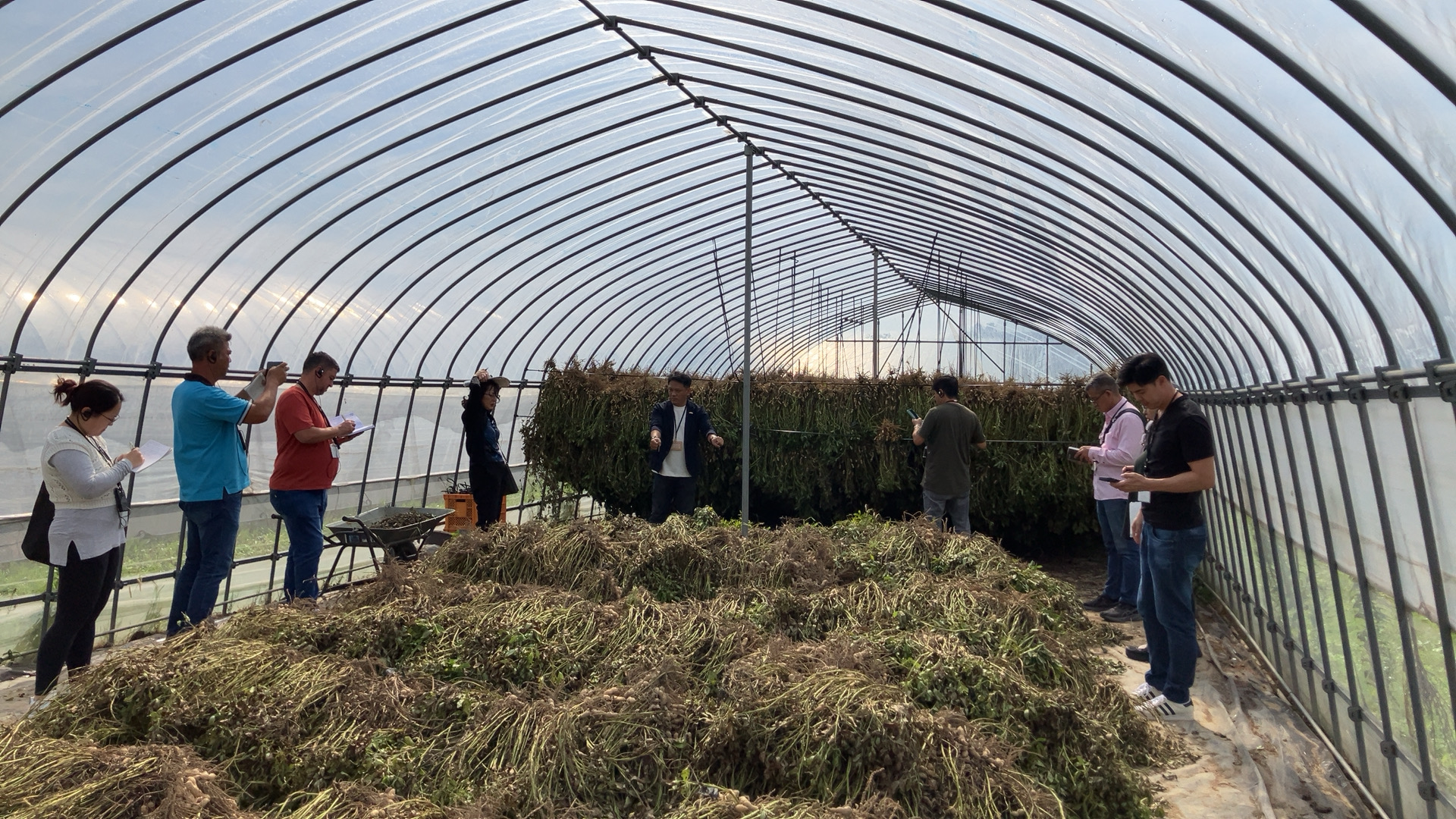 日系農業者訪日技術研修（持続的な農業生産）の様子（2）